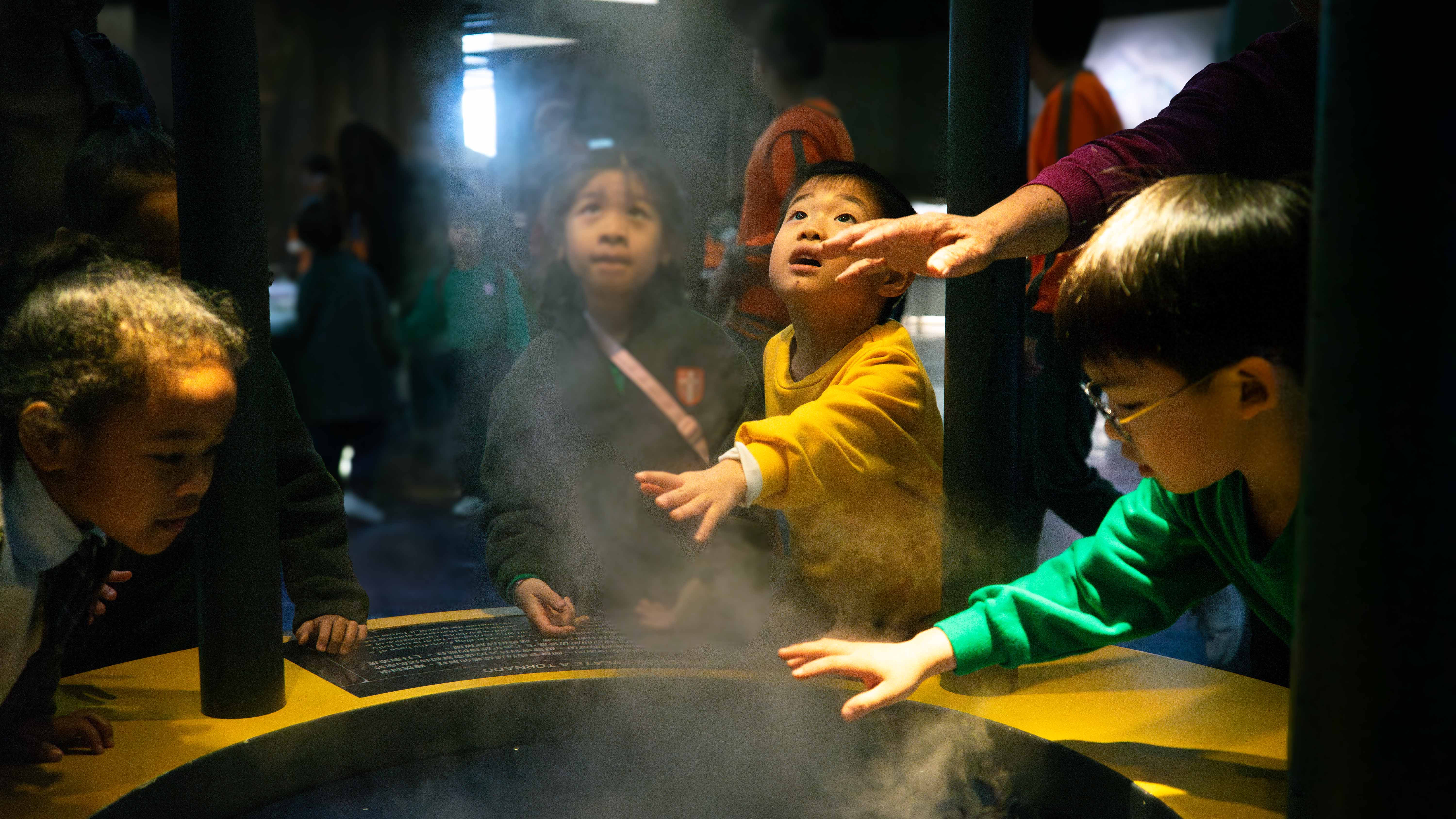 DSC02872 已增強 雜訊減少