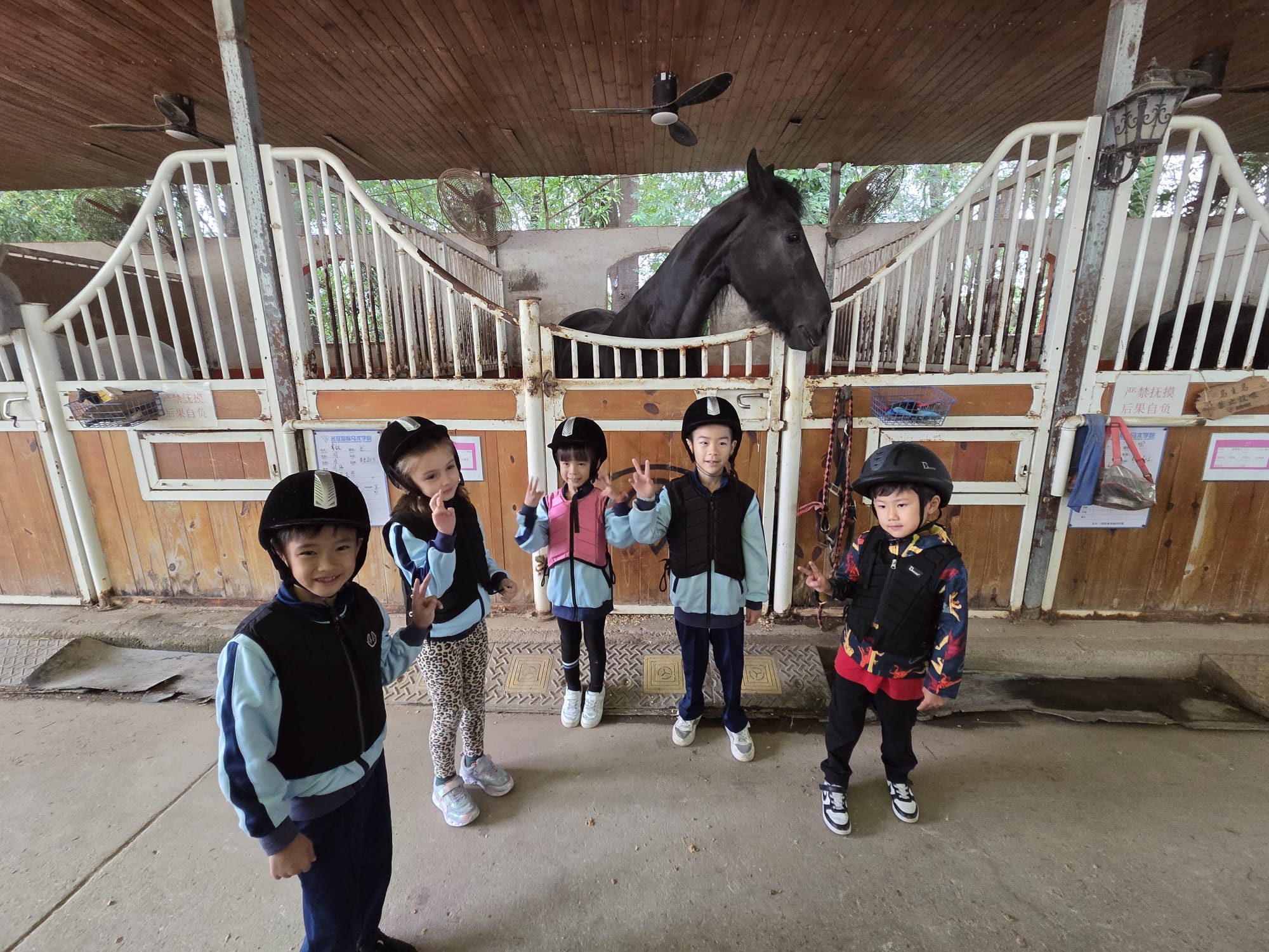 WhatsApp Image 2025 10 23 at 09.13.07